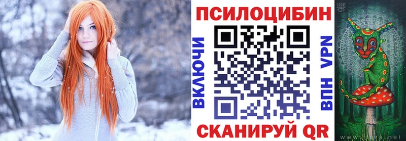 Галлюциногенные грибы Psilocybe  Купить  Кашин 