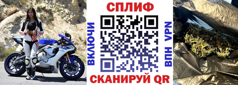 Купить закладки  Кашин  Бошки Шишки OG Kush 